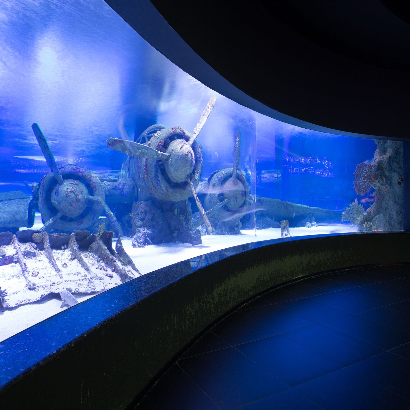 Dubai Mall Aquarium