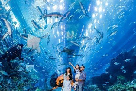 Dubai Mall Aquarium