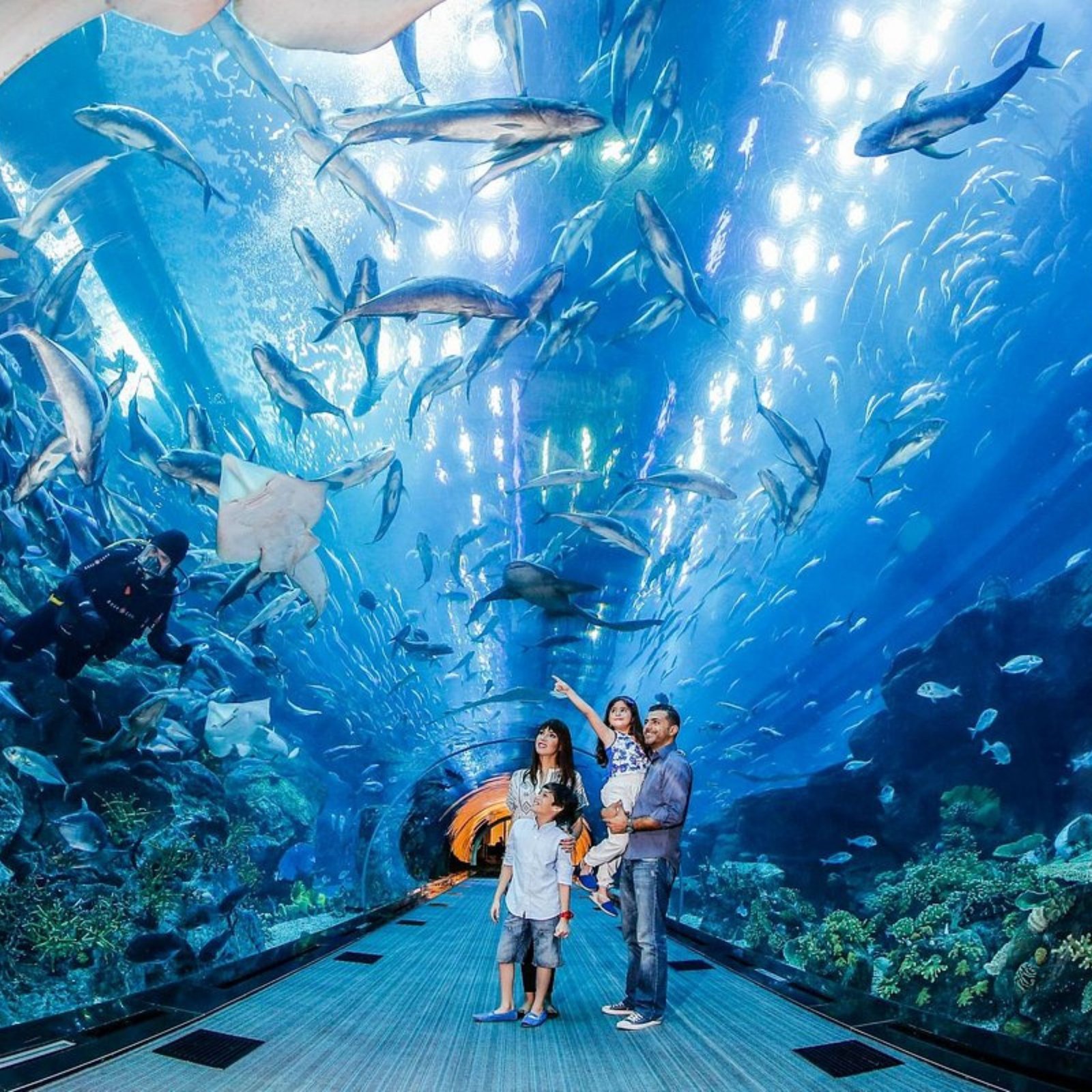 Dubai Mall Aquarium