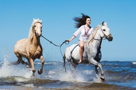 Beach Horse Riding