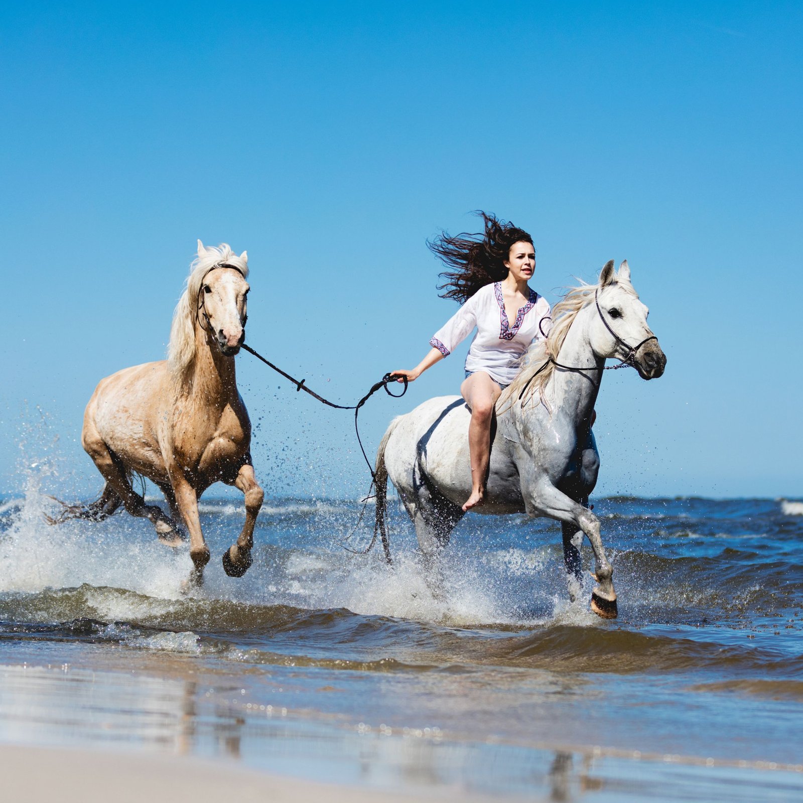 Beach Horse Riding