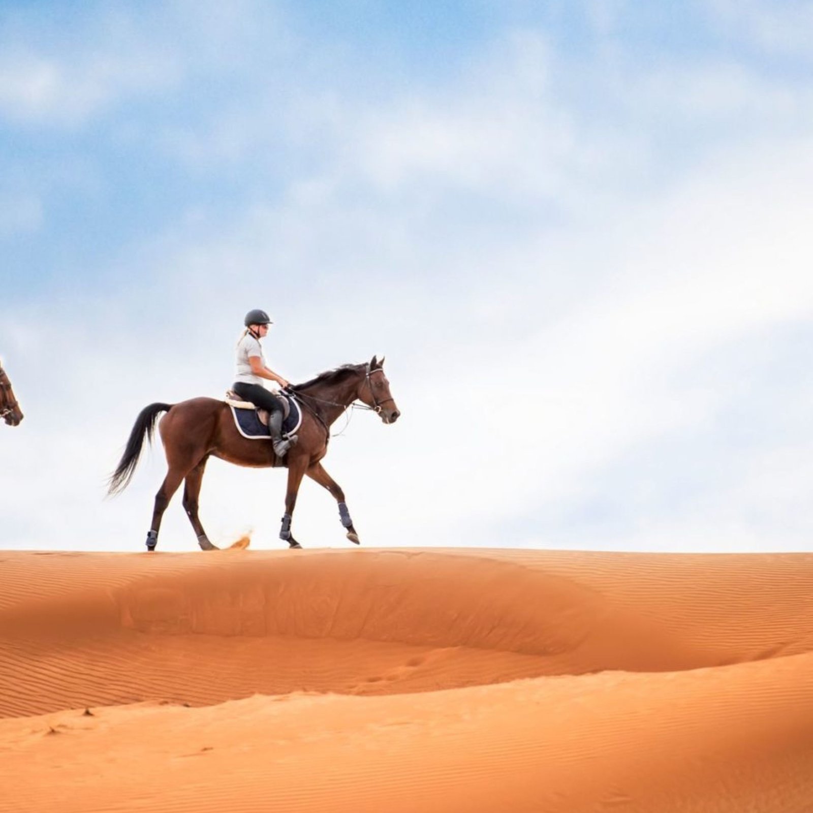 Desert Horse Riding