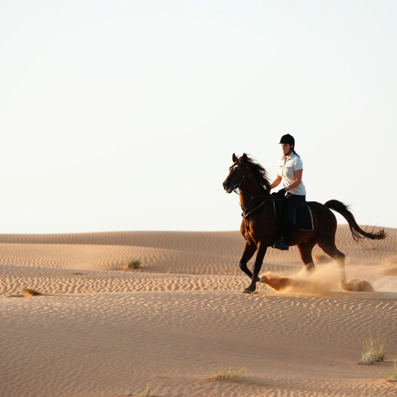 Desert Horse Riding