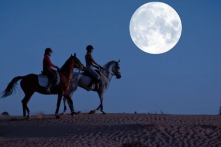 Moon Horse Riding