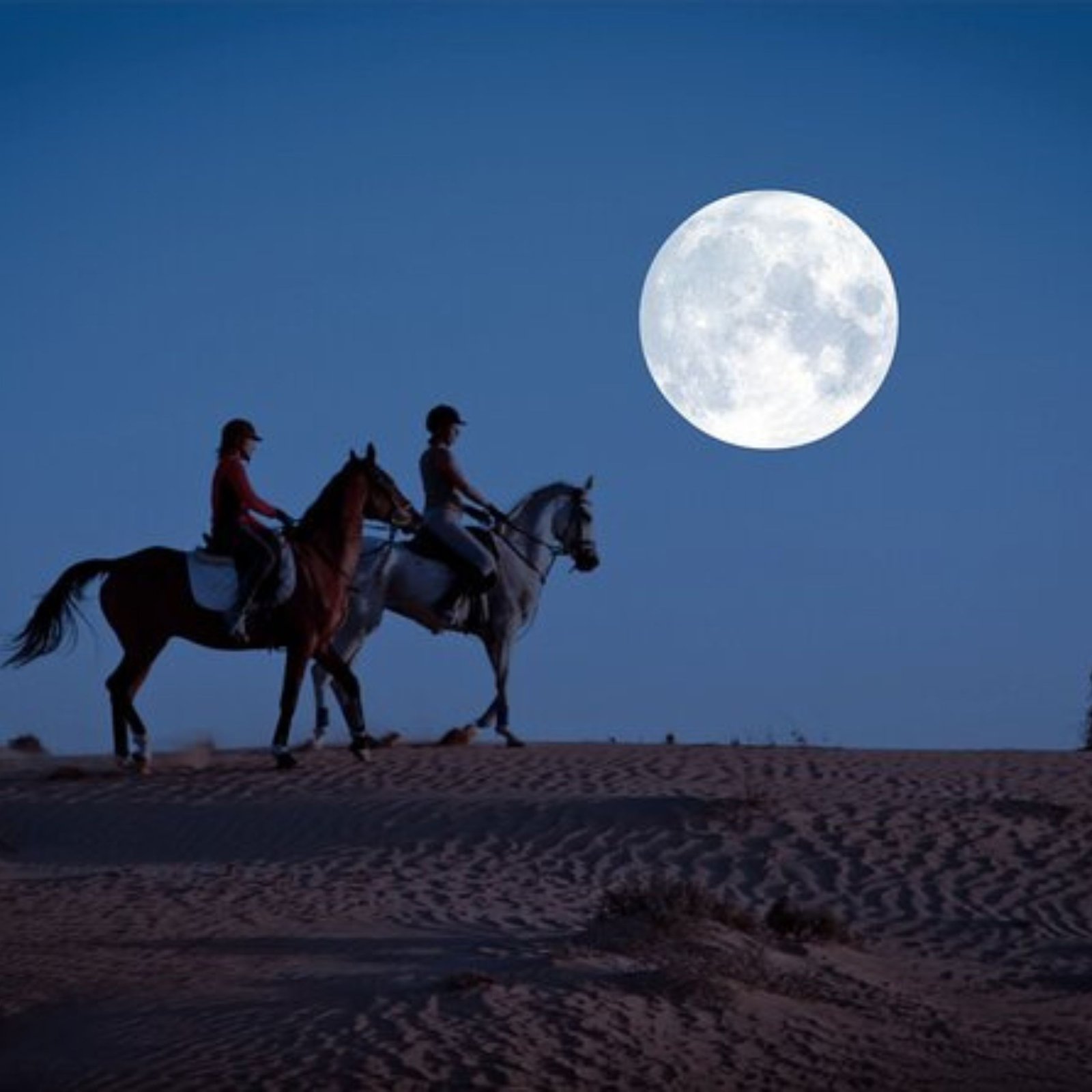 Moon Horse Riding