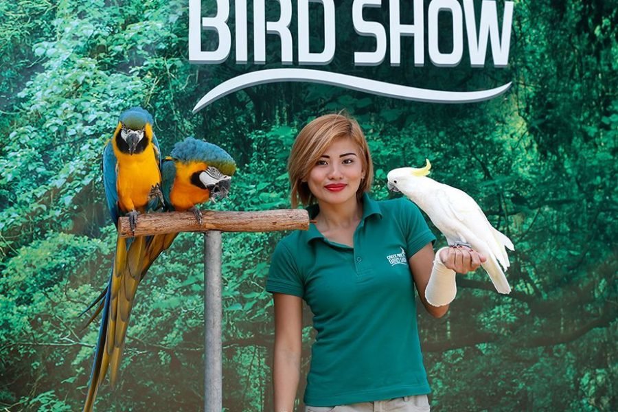 Exotic Bird Show