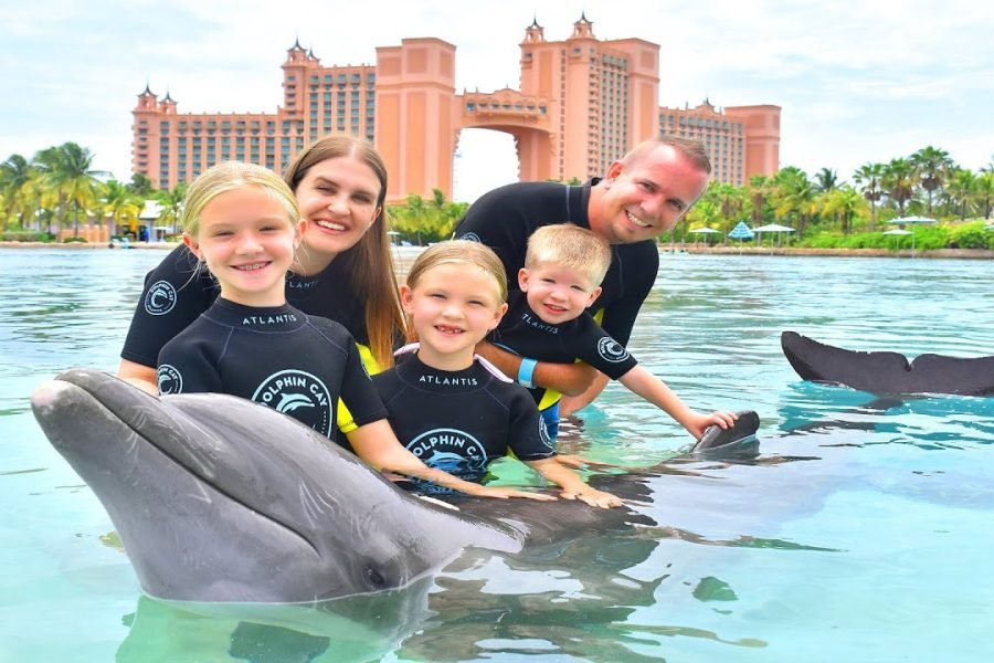 Dolphin Experiences Atlantis