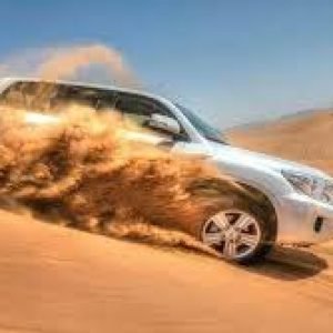 Evening Desert Safari with BBQ Dinner in Dubai