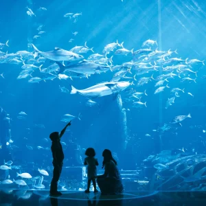The Lost Chambers Aquarium Tickets Dubai