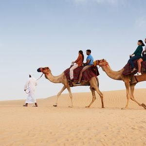 PLATINUM HERITAGE LUXURY SAFARI