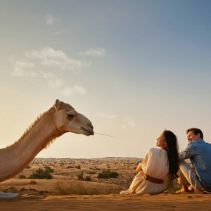 Morning Desert Safari Tour Dubai