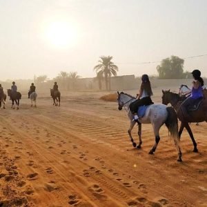 Dubai Desert Horse Riding Experience