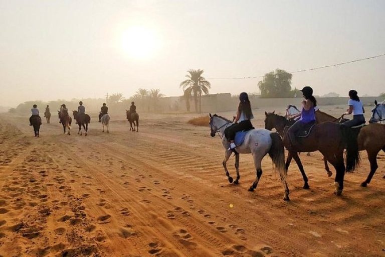 Dubai Desert Horse Riding Experience